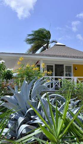 Een vrolijk geel geschilderde bungalow van CHOGOGO Dive & Beach Resort op Curaçao, omgeven door een weelderige tropische tuin.
