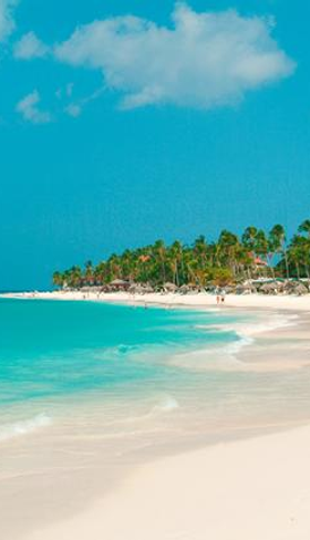 Divi Aruba All Inclusive