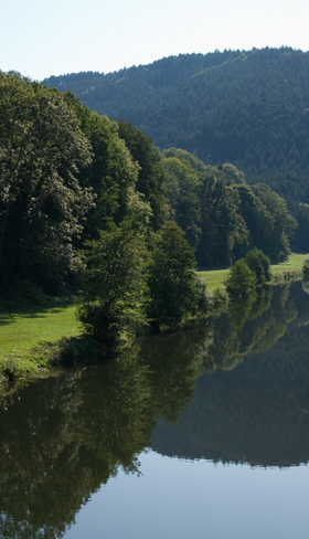 Prachtig rivierlandschap met groene heuvels en bossen rondom de Hilserhof in Baden-Württemberg, ideaal voor natuuruitstapjes met het gezin.