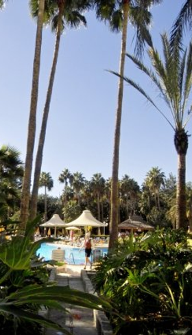 Tropische tuin met hoge palmbomen rondom het zwembad van Hotel Eugenia Victoria.