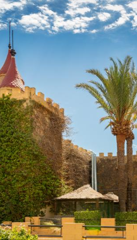 Hotel Magic Robin Hood