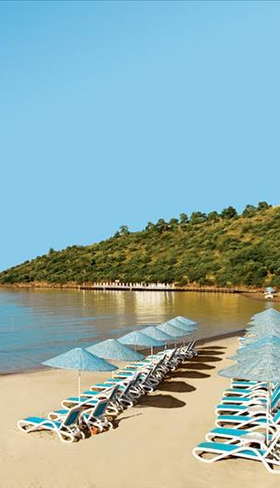 Hotel Paloma Pasha