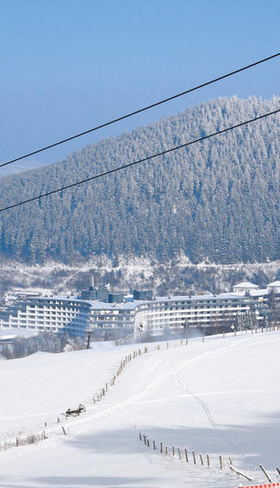De Ettelsberg-kabelbaan met rode gondels die boven het besneeuwde winterlandschap van Willingen in Sauerland zweven.