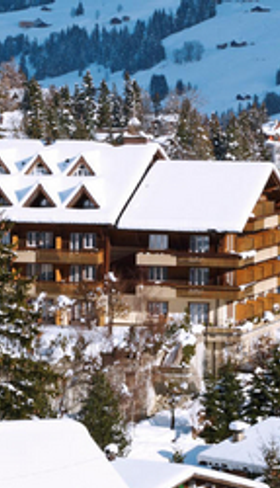 Hotel Steinmattli