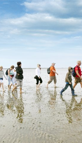 Familie met kinderen en hond maakt een wandeling over het wad, oftewel wadlopen, aan de Noordzeekust bij Tossens.