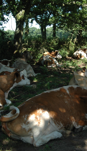 La Ferme de Penquelen