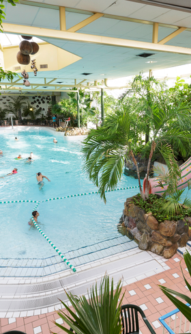 Bezoekers zwemmen in het tropische golfslagbad van de Aqua Mundo in Center Parcs Limburgse Peel.