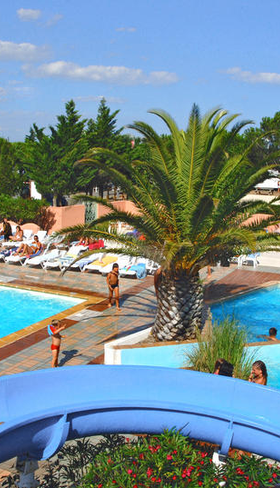 Camping Le Mas des Lavandes