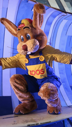 Mascotte Koos Konijn die stoer balanceert op een surfplank bij Noordzee Résidence De Banjaard.