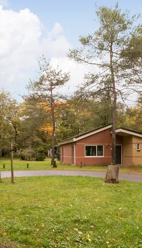 Vrijstaande bungalows van Parc de Berkenhorst, gelegen in het bos op de Veluwe.