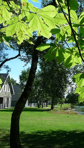 Vakantiepark Molenheide