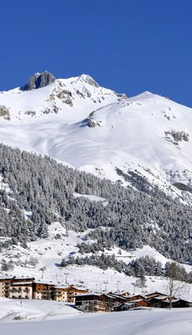 Les Flocons d'Argent