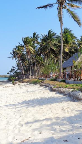 Reef & Beach Resort