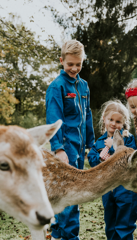 Drie kinderen in boeren-overalls voeren en aaien de lieve damhertjes op Vakantiepark Dierenbos
