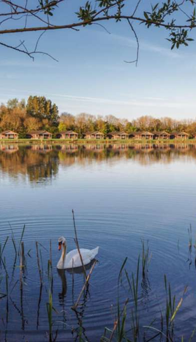 Vakantiepark Lake Pochard Lodges