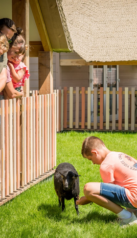Vakantiepark Molenwaard