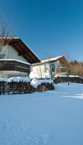 Een comfortabel vakantiehuis op Landal Salztal Paradies, bedekt onder een dik pak sneeuw in het winterse landschap van de Harz.