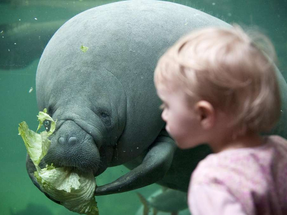 11-/12-daagse autorondreis 'Bente' door Denemarken