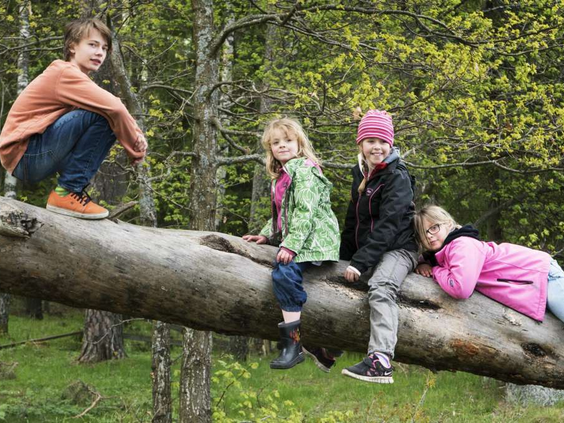 13- of 14-daagse meivakantie Dalarna