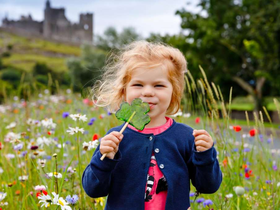 15-daagse autorondreis 'Teagan' door Engeland & Ierland