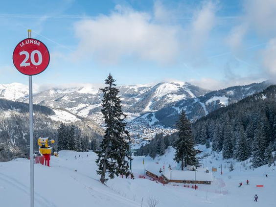 AlpChalets Portes du Soleil