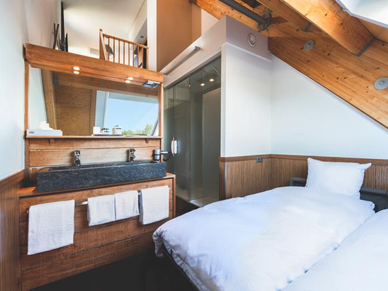 Alpine Hotel SnowWorld