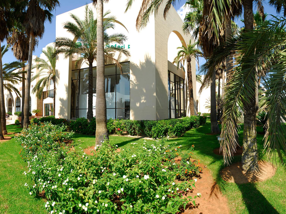 De prachtige, groene hoteltuin van Protur Safari Park op Mallorca, met kleurrijke bloemenperkjes en hoge palmbomen.