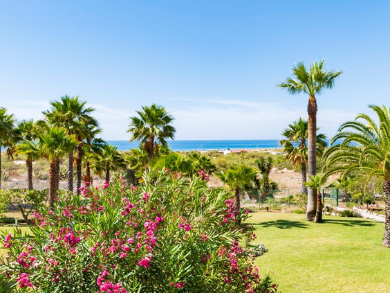 Appartementen Praia da Lato - tuin