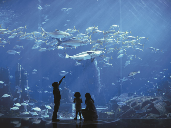 atlantis-the-palm (6).jpg