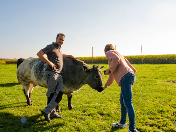 BoerenBed De Brabantse Hei