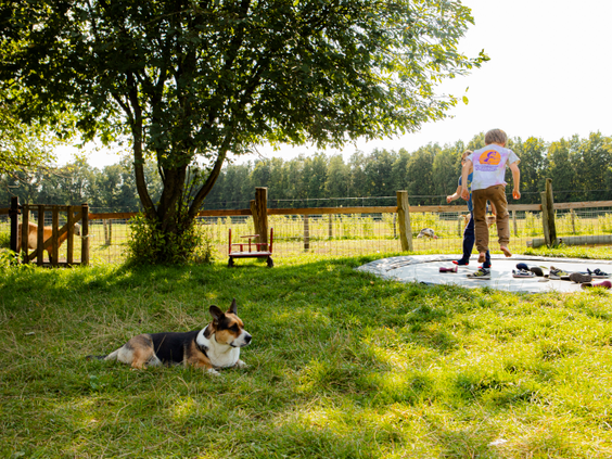 BoerenBed De Lange Weide