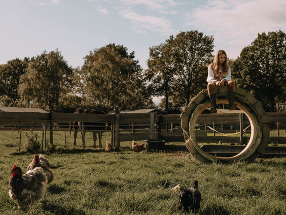 BoerenBed Hoeve de Pippert
