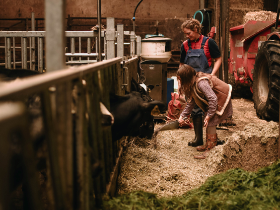 BoerenBed Hoeve de Pippert