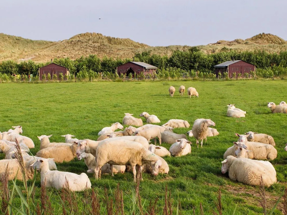 BoerenBed De Zeekraal