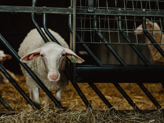BoerenBed De Zeekraal