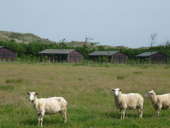 BoerenBed De Zeekraal