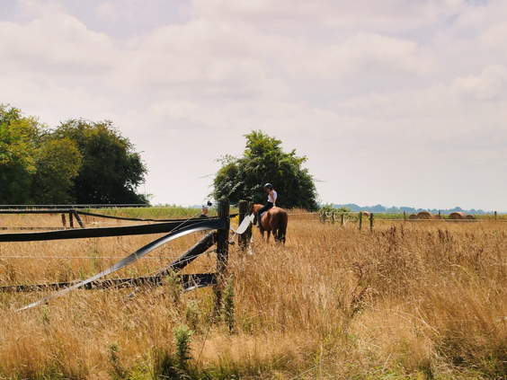 BoerenBed Ecuries de Gapennes buiten