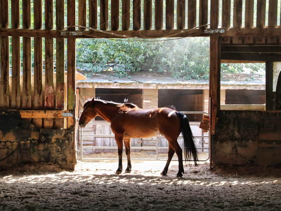 Boerenbed Ferme de Vanadal