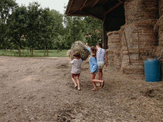 BoerenBed Fermette des Trois Tilleuls