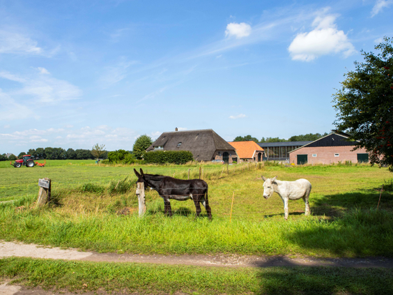 BoerenBed Het Wesselink in Salland