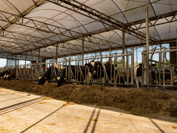 BoerenBed Het Wesselink in Salland