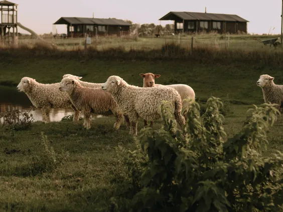 BoerenBed Hoeve den Overdraght