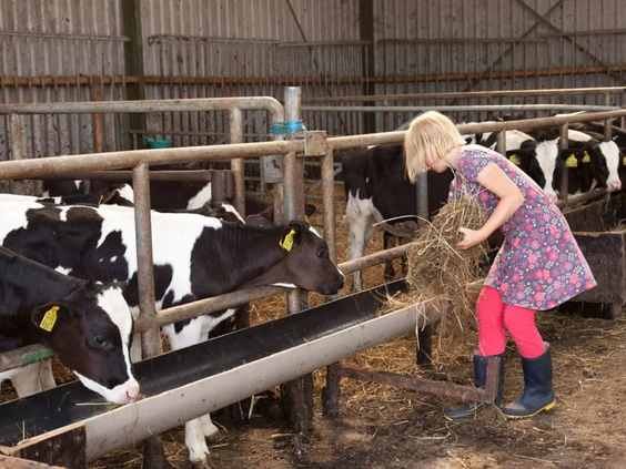 BoerenBed Hoeve Zeeland