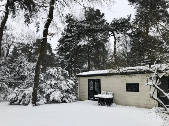 Een gezellig chalet op Bospark De Schaapskooi, omgeven door besneeuwde dennenbomen in een winters landschap.