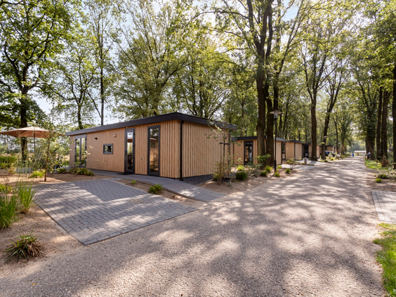 Exterieur van de 6-persoons Module Wood lodge op Bospark Ede, een modern vakantiehuis in het bos.