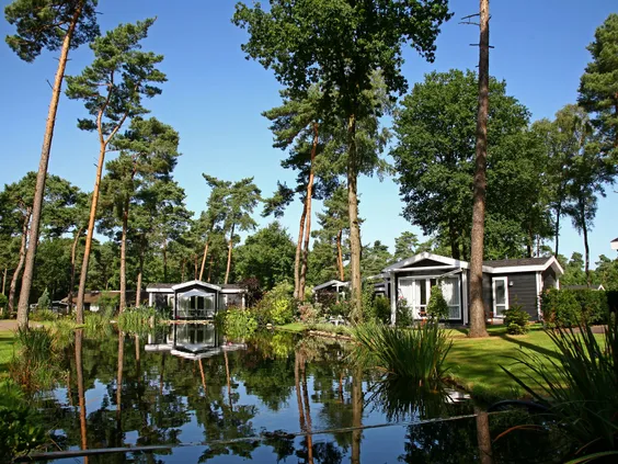 Luxe vakantiehuisjes gelegen aan een bosrijke vijver met reflectie van de hoge bomen in het water op Bospark Markelo in Overijssel.