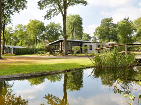 Overzicht van Bospark Markelo, waar de moderne vakantiehuisjes prachtig gelegen zijn tussen de bomen en rondom een natuurlijke vijver.