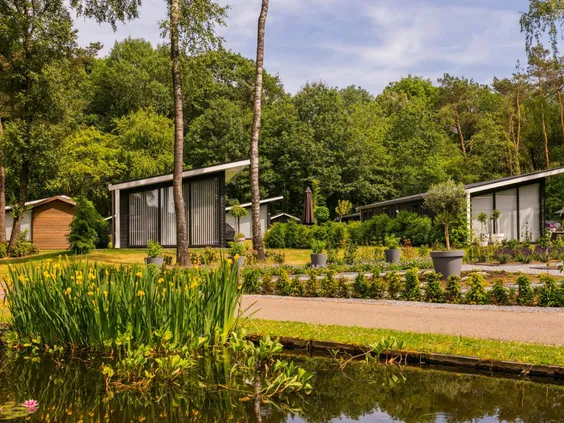 Moderne vakantiehuisjes verspreid in een bosrijke omgeving aan een vijver met waterplanten op Bospark Markelo.