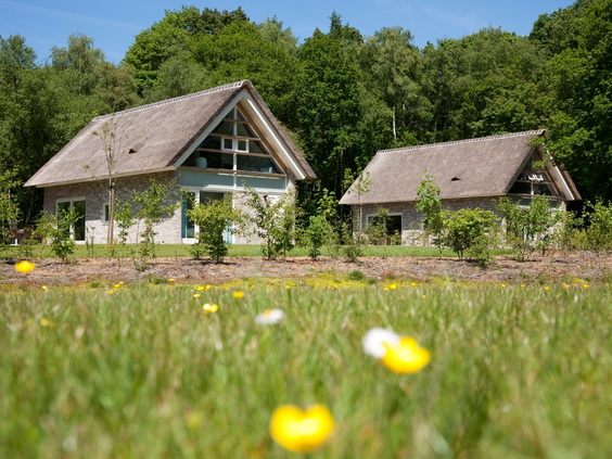 Twee luxe, rietgedekte vakantieboerderijen op Buitenplaats De Marke van Ruinen, omgeven door een bloemrijk grasveld en bos.
