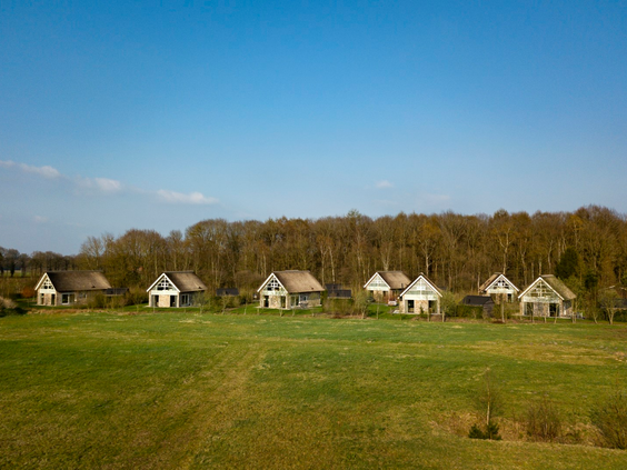Overzicht van Buitenplaats De Marke van Ruinen, met de luxe rietgedekte vakantieboerderijen gelegen aan een groot grasveld en de rand van de Drentse bossen.